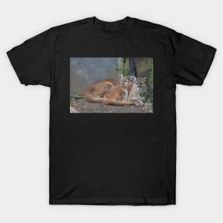 Cougars T-Shirt